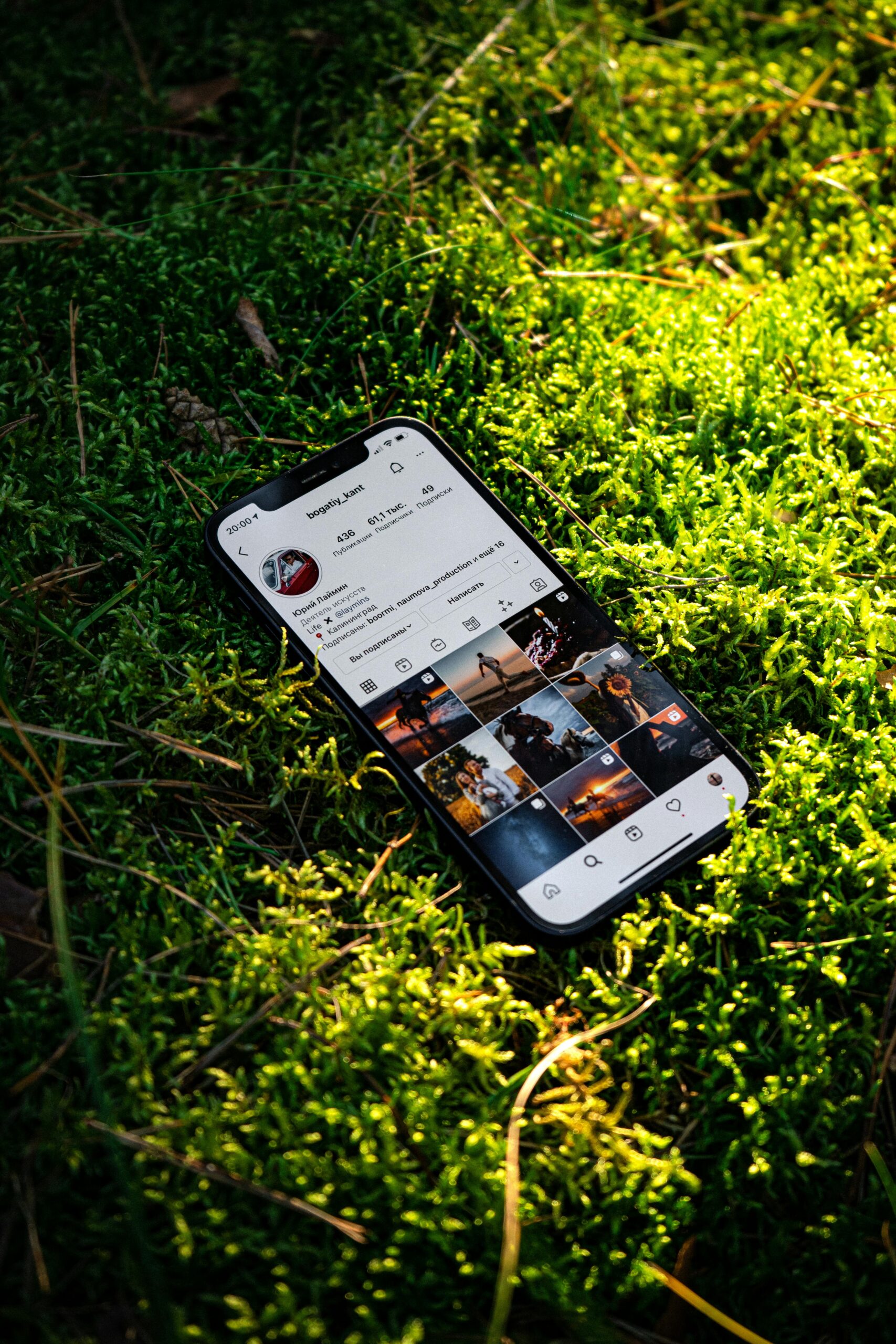 WordPress als Brücke zwischen Instagram und Fediverse